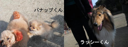 a893a267.JPG