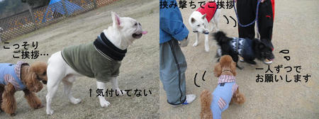 e1d4f510.JPG