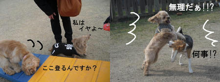 91.JPG
