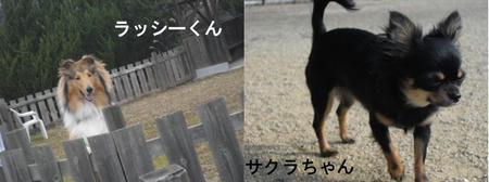 933b673e.JPG