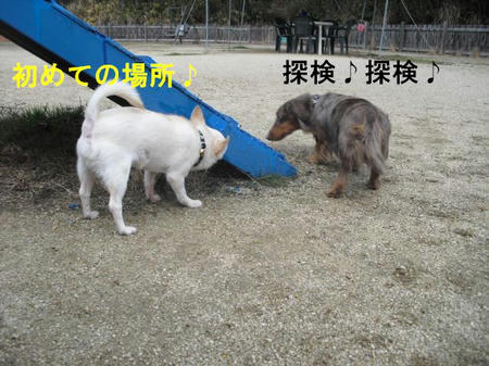 81480ff5.jpg