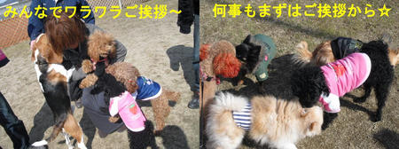 2a0568e1.JPG