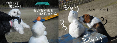 a3.JPG