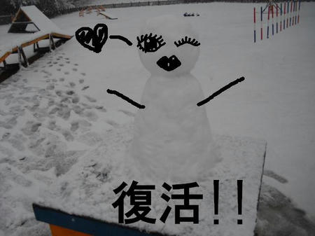 d8f6ad5b.jpg