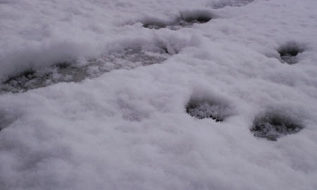 110214_1543~01.jpg