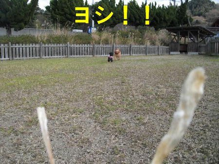 6912623d.jpg