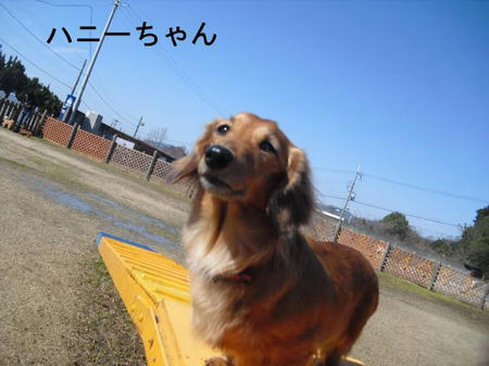 516415fe.jpg
