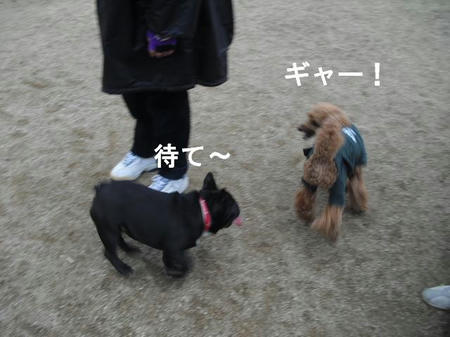 0dcd32e3.jpg