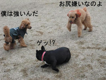 1d9f39c6.jpg
