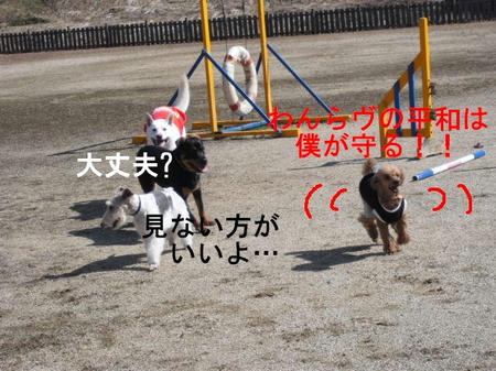 ee7df64c.jpg