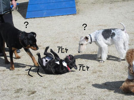c1f6fba5.jpg