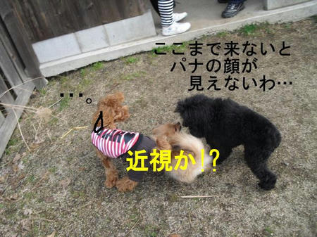 b01eff0e.jpg