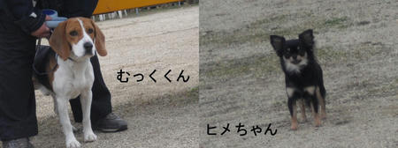 f83835ea.JPG