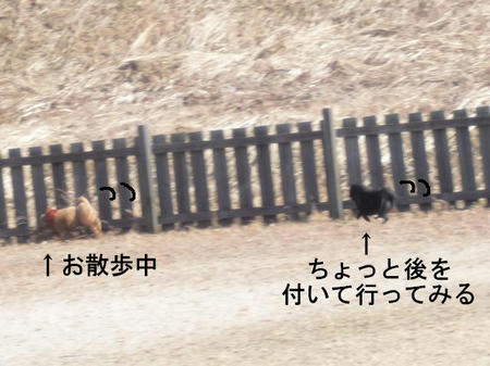 f1d39600.jpg