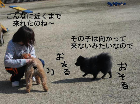 116f7d7c.jpg