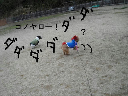 24888f69.jpg