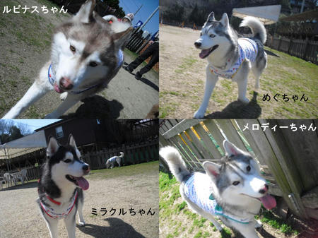 3e5d845f.JPG