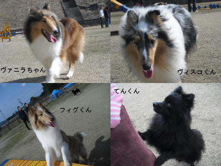 f31b1c7d.JPG