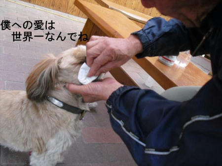 76a70405.jpg
