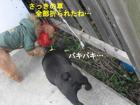 8c0a87d3.jpg