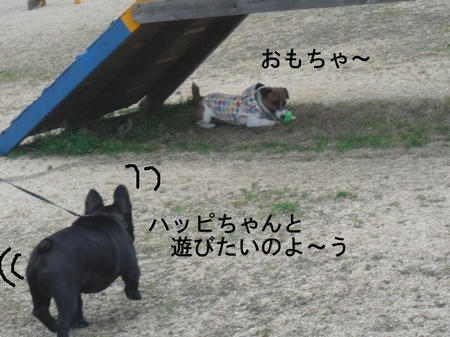 0296793f.jpg
