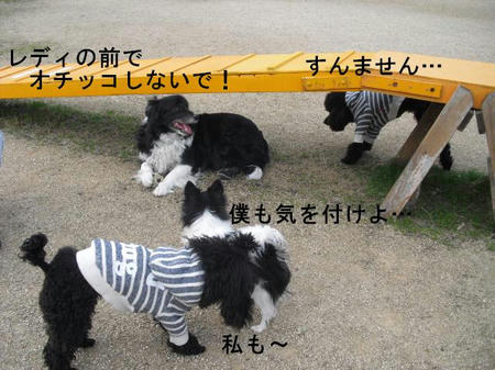 3abc0c7b.jpg