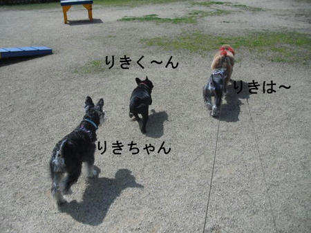 8a42b147.jpg