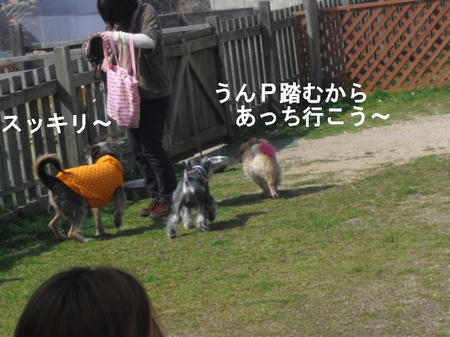1eead28f.jpg