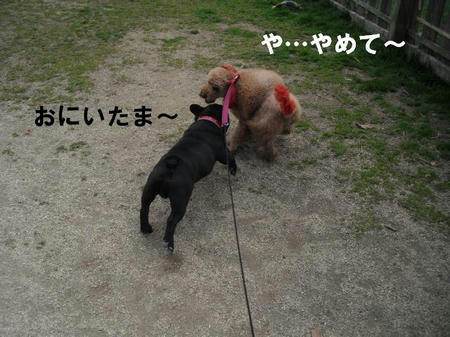 1a60d54c.jpg