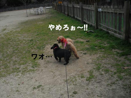 2aa7b340.jpg