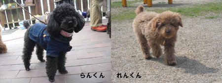 2d39d5db.JPG