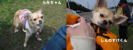 285a8a66.JPG