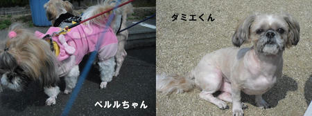 64a6db2f.JPG