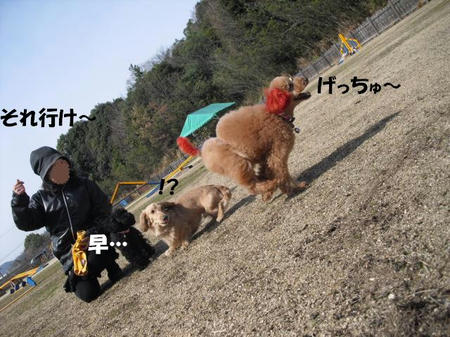 f7f1f0fc.jpg