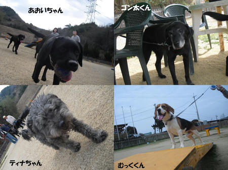 90b6f388.JPG