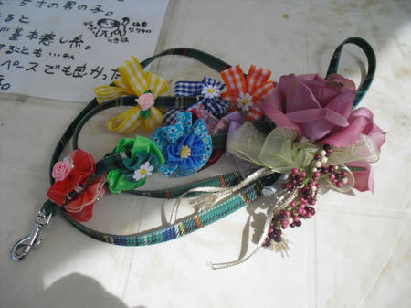 f173a1d9.jpg