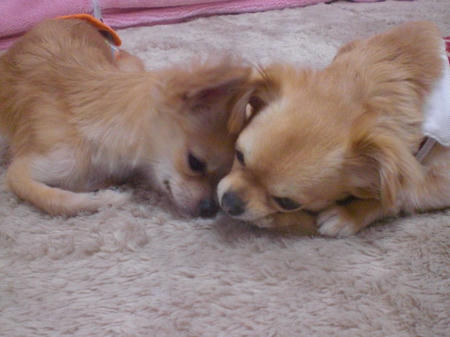 20110321143151ea1.jpg