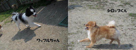 711172b5.JPG