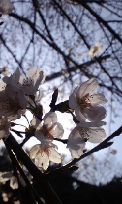 110402_0807~01.jpg