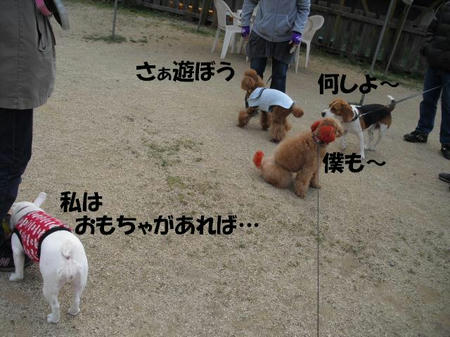 2b9b5bb0.jpg