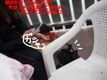 bd54140f.jpg