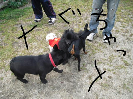 384c2c5d.jpg