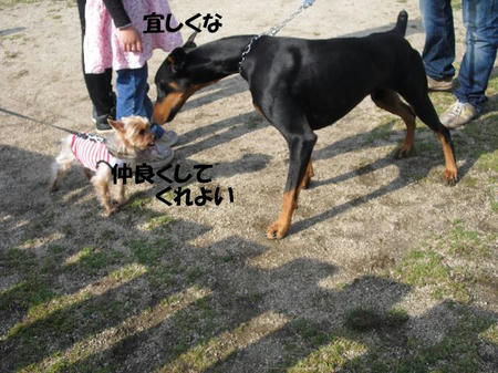 7cf30d45.jpg