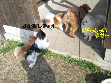 0bcb5aee.jpg