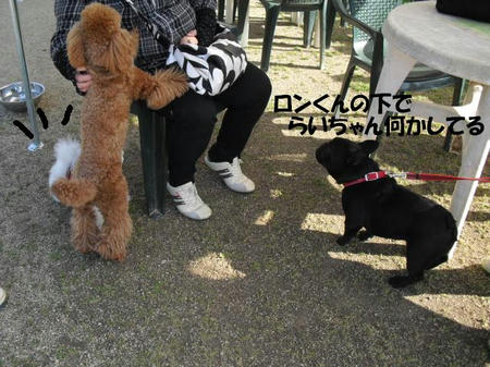 bffb7c6f.jpg