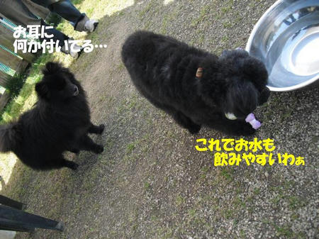 242c444a.jpg