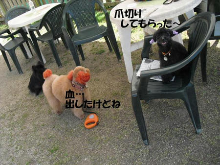 67bd88b4.jpg