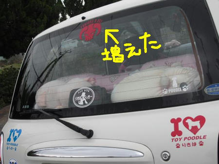 e01cbaad.jpg