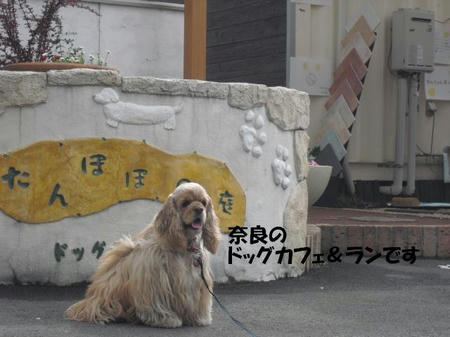 7c3a6d22.jpg