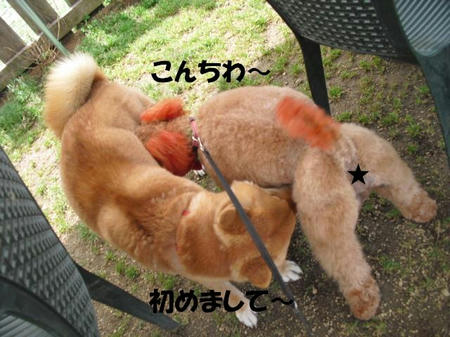 a91af9b8.jpg